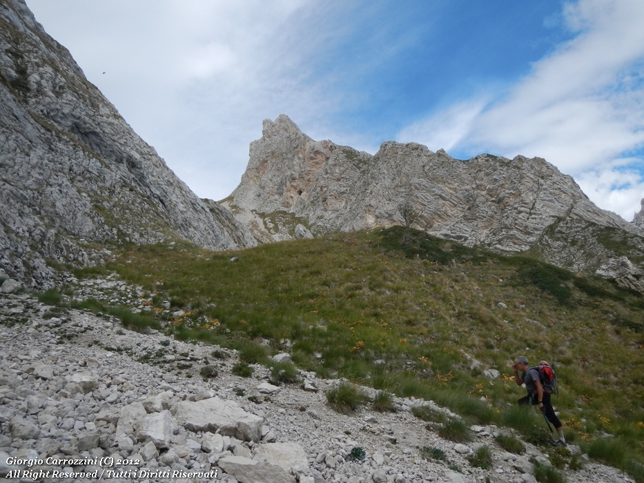 Dente del Lupo (2297 m)