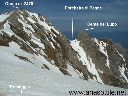 Dente del Lupo (2297 m)