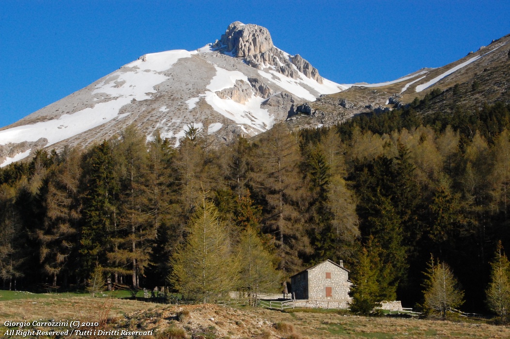 Dente del Lupo (2297 m)
