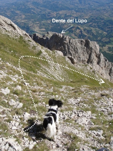 Dente del Lupo (2297 m)