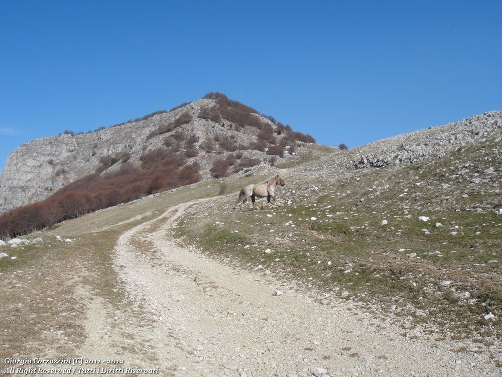 Monte Sirente (2348 m) dalla Val d'Arano