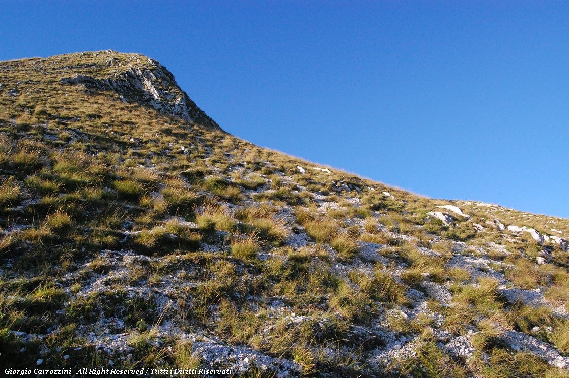Escursione facile a Monte Acuto (2035 mt)