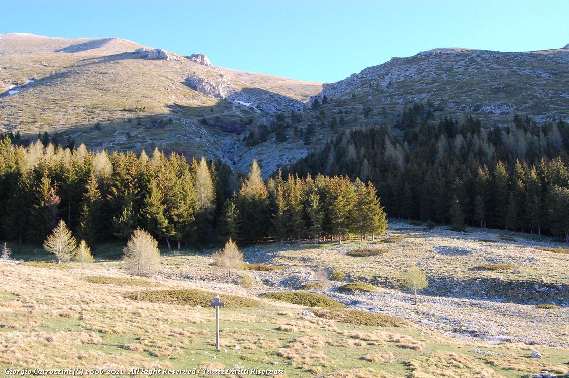 Monte Camica (2536 m) da Fonte Vetica per il Monte Tremoggia