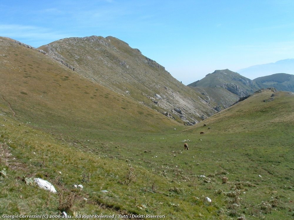 Monte Camica (2536 m) da Fonte Vetica per il Monte Tremoggia