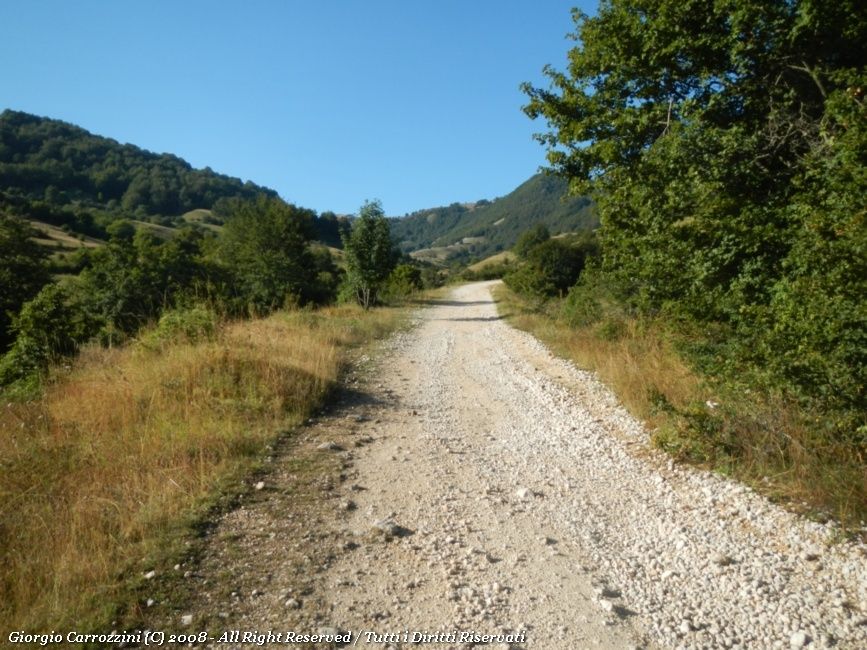 Monte della Corte (2182 m) dalle Sorgenti del Tasso