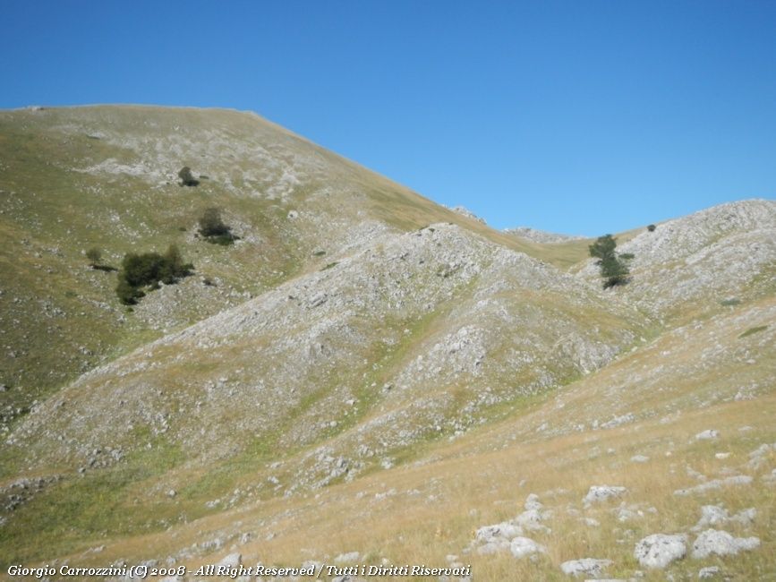Monte della Corte (2182 m) dalle Sorgenti del Tasso