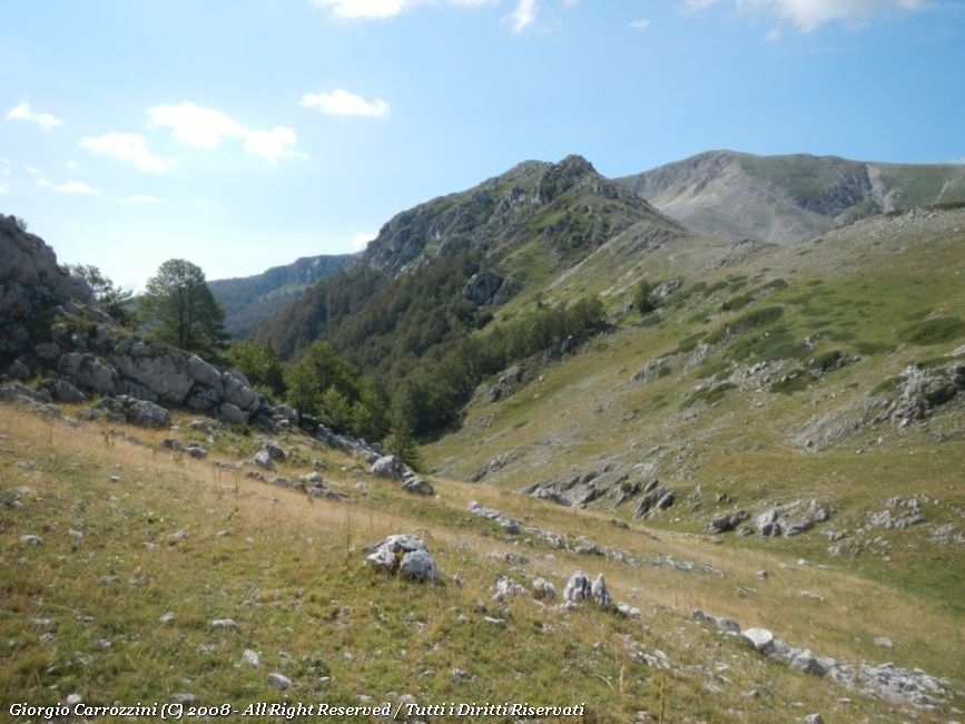 Monte della Corte (2182 m) dalle Sorgenti del Tasso