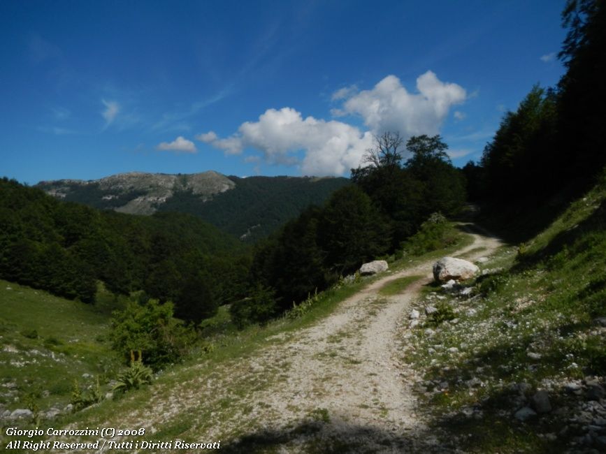 Area Pic Nic Fonte della Moscosa (Filettino)