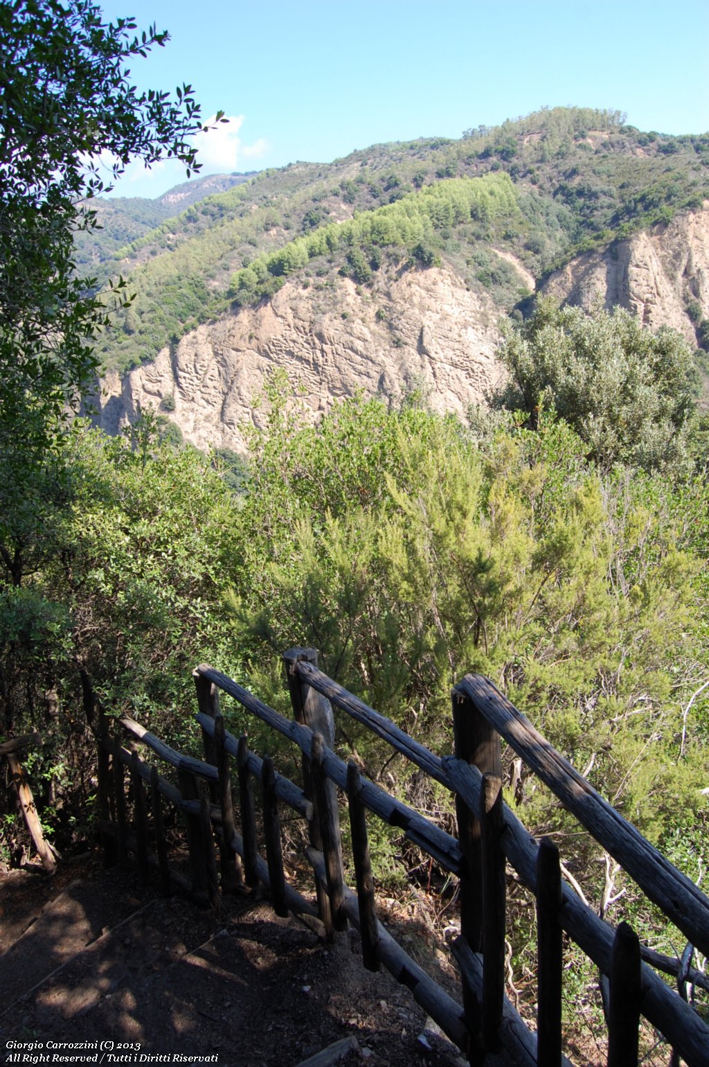 Canyon Valli Cupe