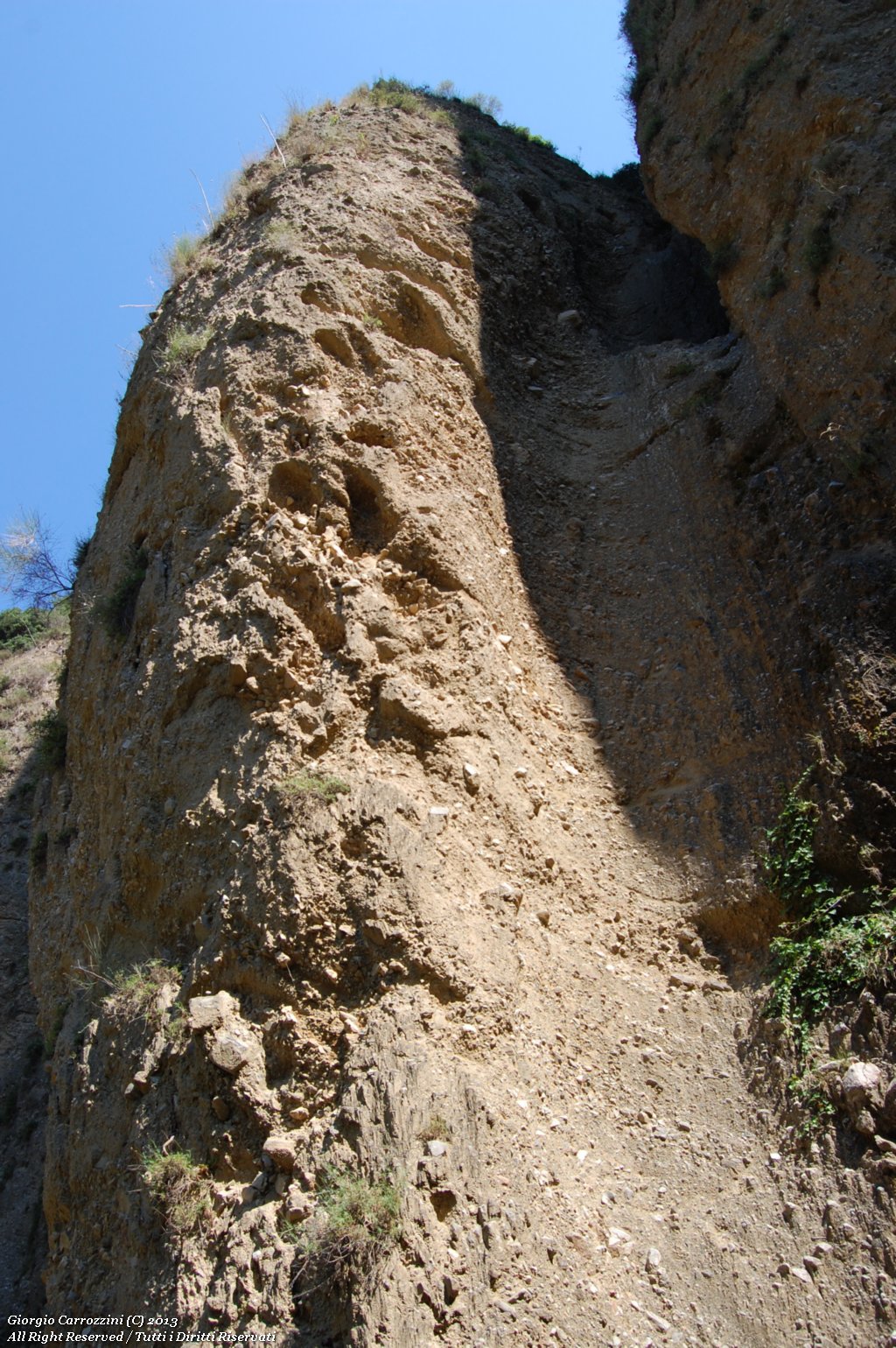 Canyon Valli Cupe