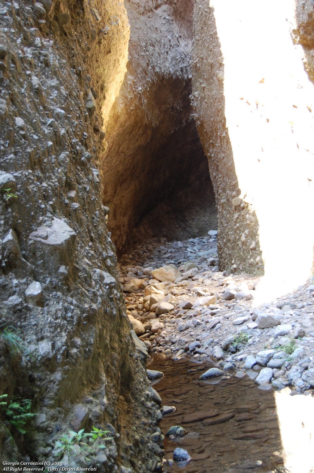 Canyon Valli Cupe