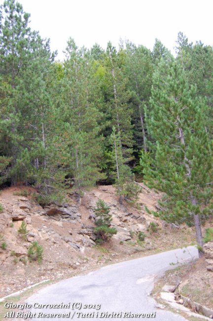 Strada delle Vette (Monte Botte Donato)