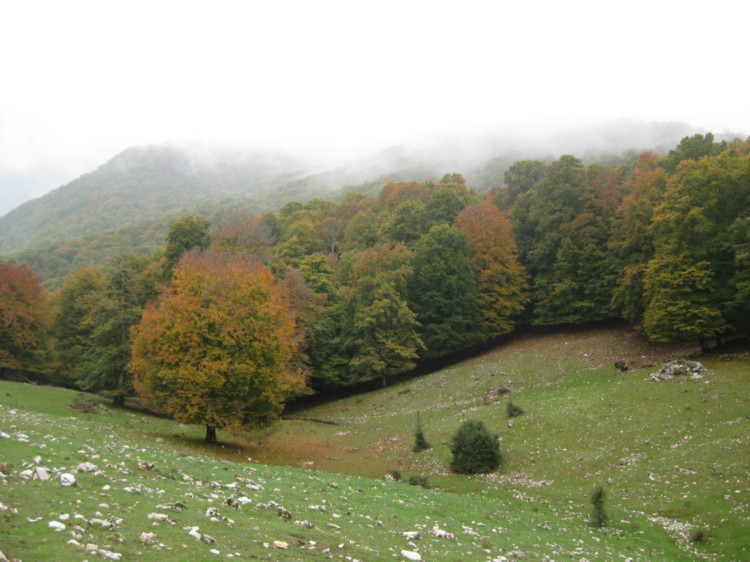 Monte Capreo in Slow Walking