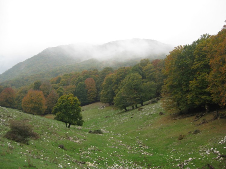 Monte Capreo in Slow Walking