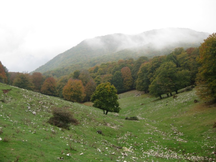 Monte Capreo in Slow Walking