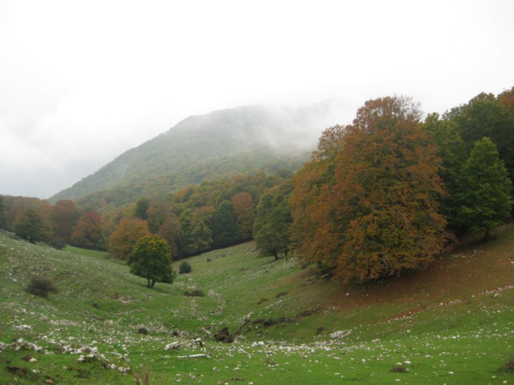 Monte Capreo in Slow Walking