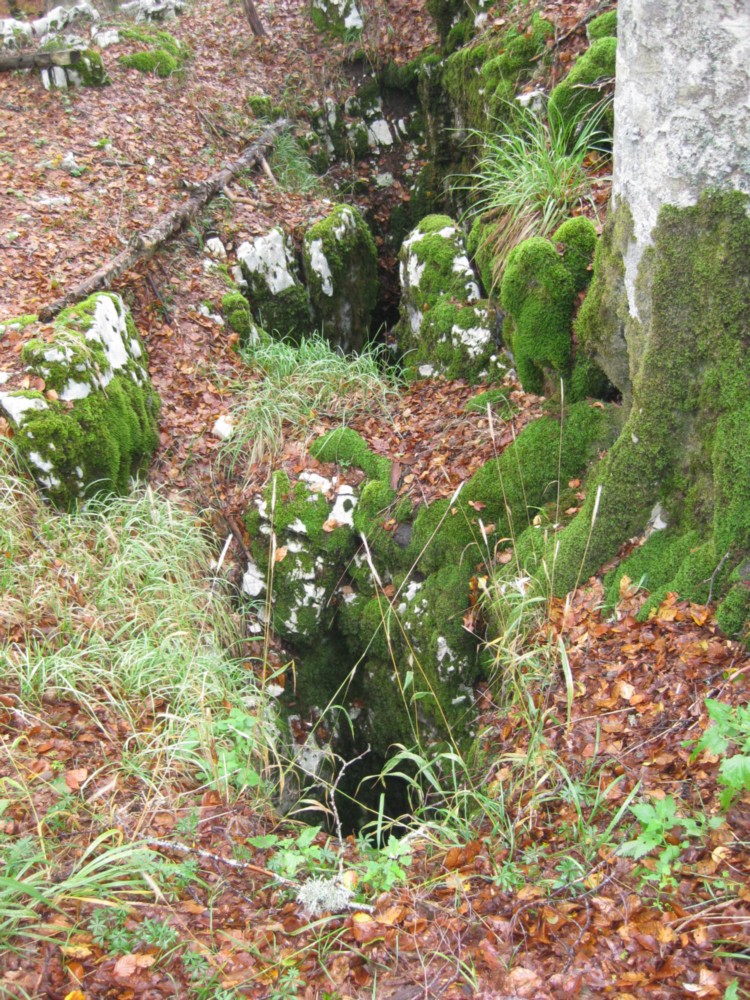 Monte Capreo in Slow Walking