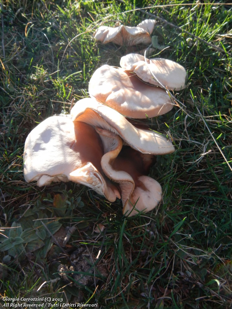 Un milione di colori, un milione di pensieri...