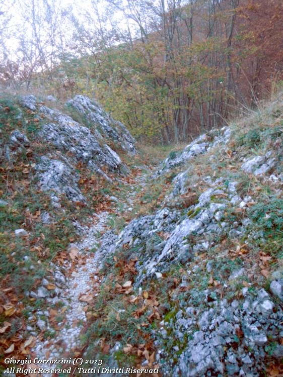 Anello Escursionistico Monte San Franco (2132 m)