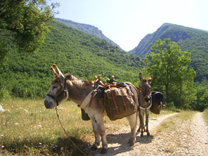 Casale Le Crete