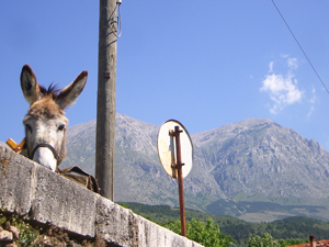 Casale Le Crete