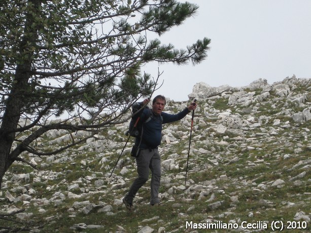 Monte Petrella (1553m)
