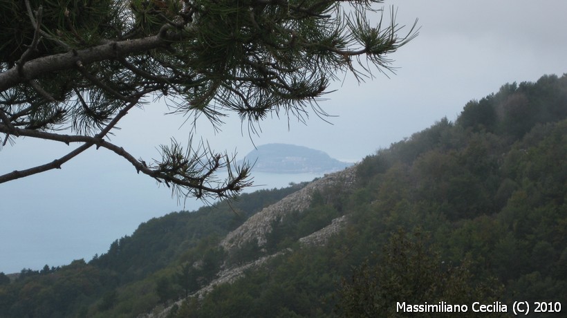 Monte Petrella (1553m)