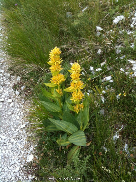 In gita sui Monti Sibillini
