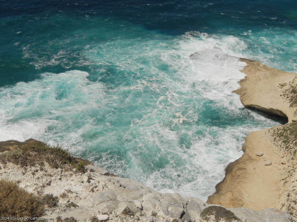 "U Pertusato" delle Bocche di Bonifacio (Corsica)