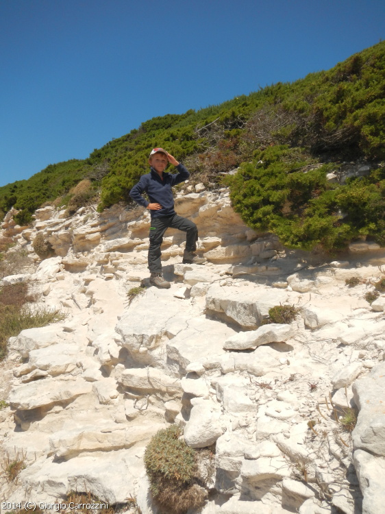 "U Pertusato" delle Bocche di Bonifacio (Corsica)