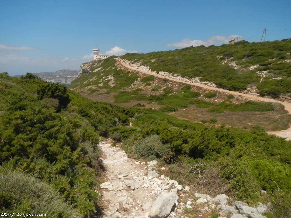 "U Pertusato" delle Bocche di Bonifacio (Corsica)