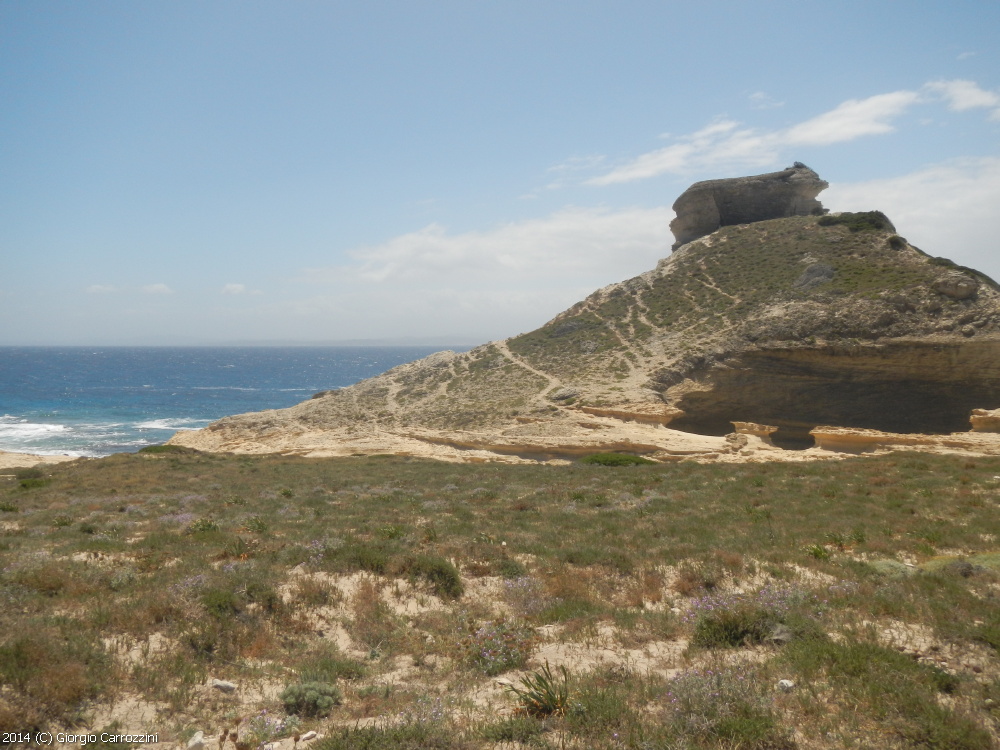 "U Pertusato" delle Bocche di Bonifacio (Corsica)