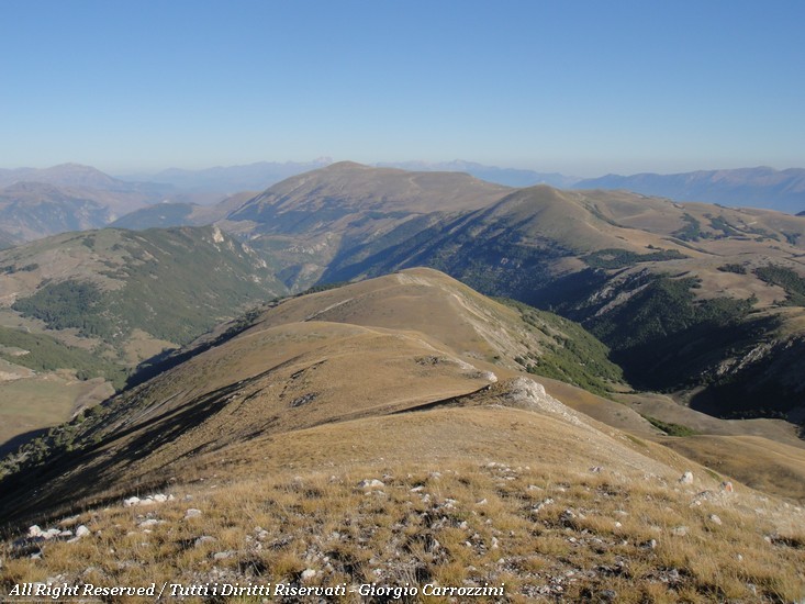 Monte Greco da Passo Godi