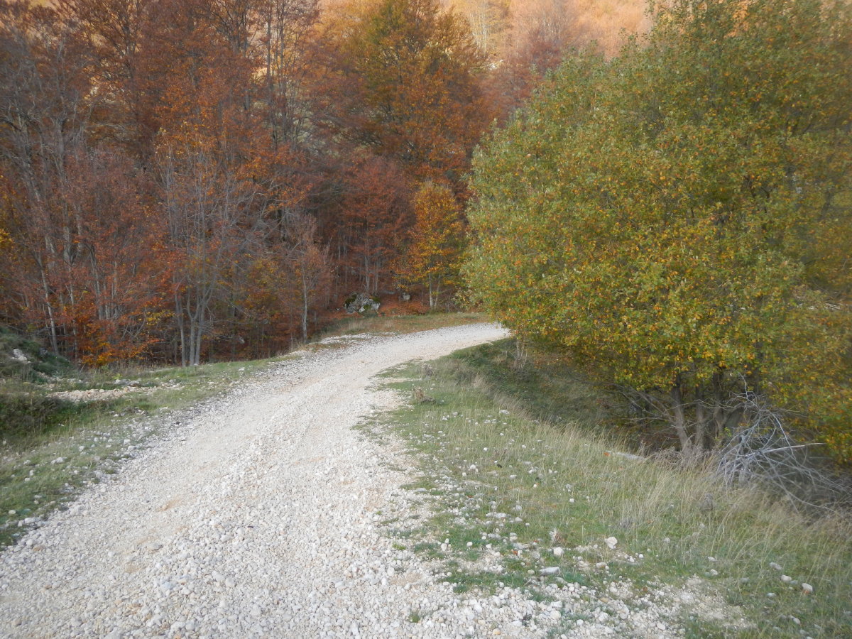 Grande Ritorno alla Montagna