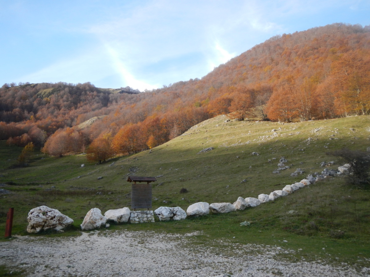 Grande Ritorno alla Montagna