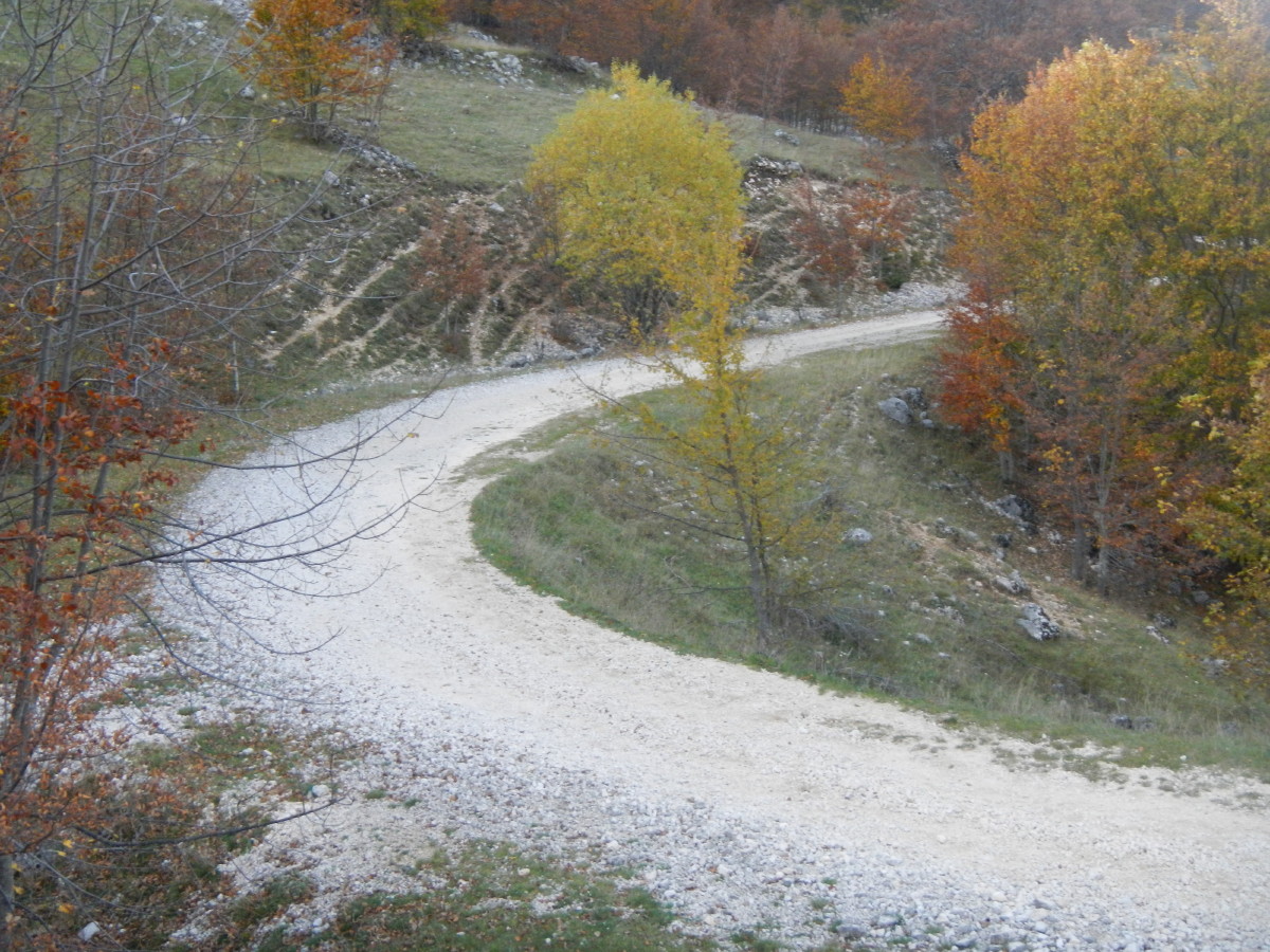 Grande Ritorno alla Montagna