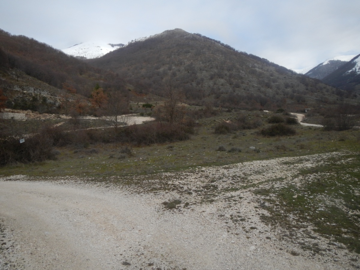 Escursione a Punta Mazza