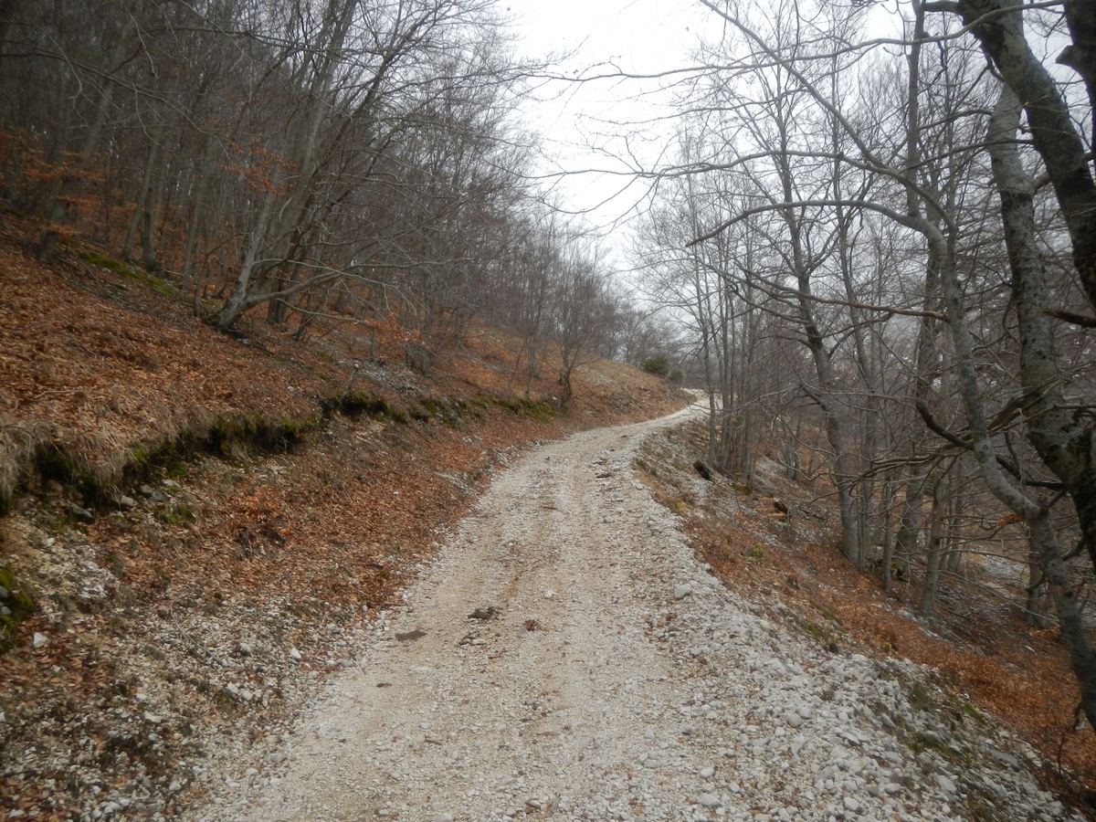 Escursione a Punta Mazza