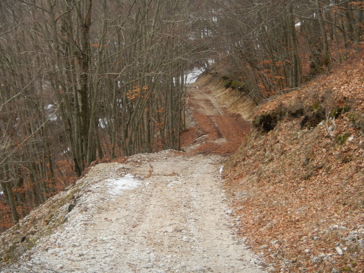 Escursione a Punta Mazza