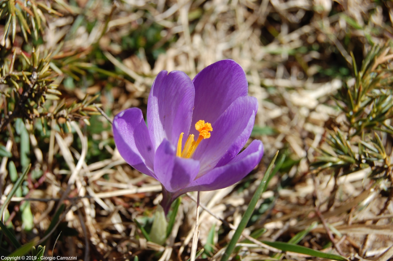 Una cima a piccoli passi