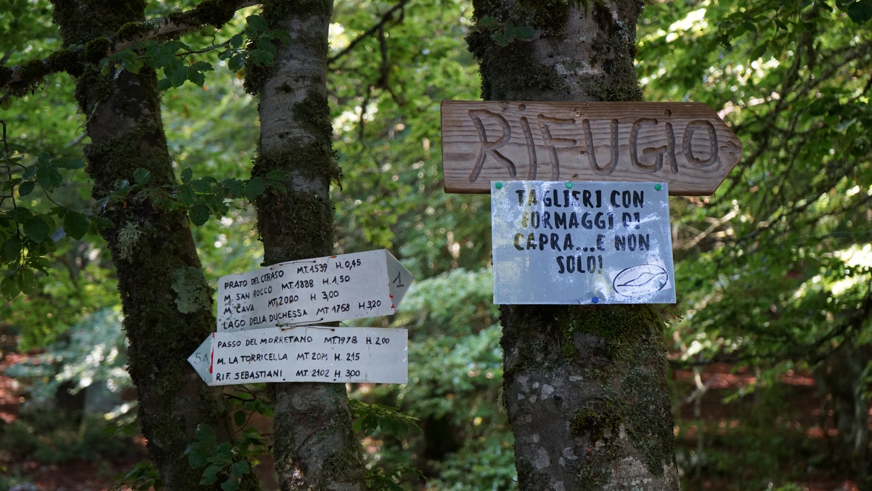 Dal Valico della Chiesola al Rifugio di Prato San Rocco