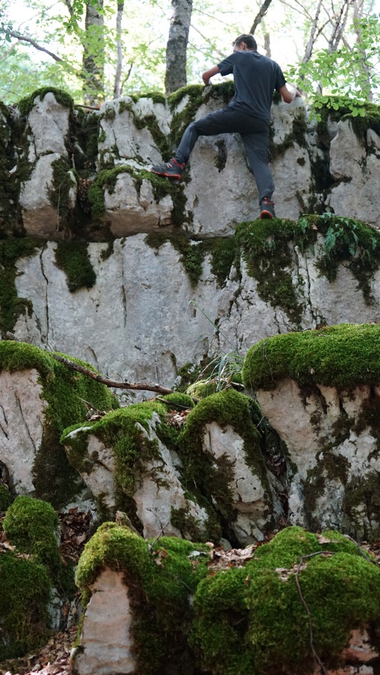 Dal Valico della Chiesola al Rifugio di Prato San Rocco