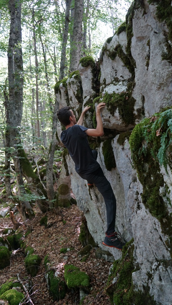 Dal Valico della Chiesola al Rifugio di Prato San Rocco