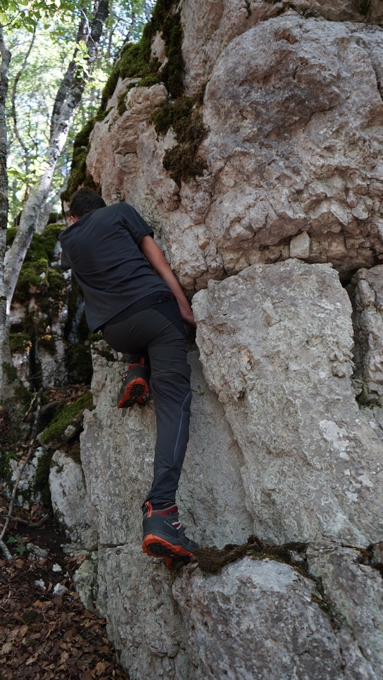 Dal Valico della Chiesola al Rifugio di Prato San Rocco