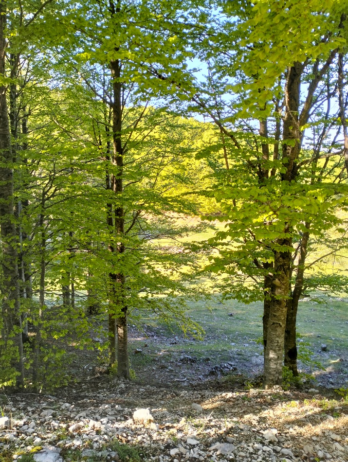 La Storia dei Tre Sassi – Monte Autore, 1854 mt