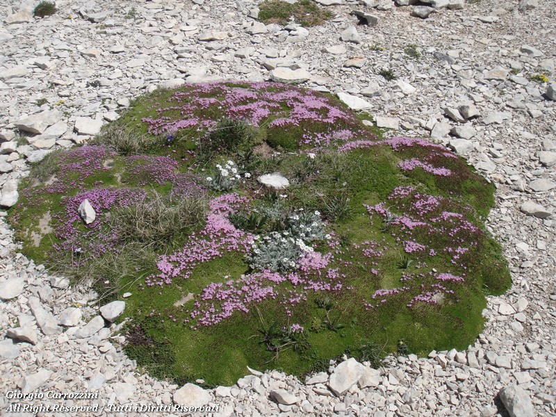 Escursione sulle Cime Settentrionali della Majella