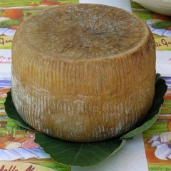 La tradizione latteo-casearia abruzzese