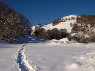 Monte Orsello (2043 m) dal Ristorante della Vecchia Miniera