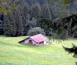 Baita