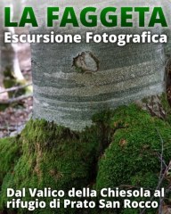 Dal Valico della Chiesola al Rifugio di Prato San Rocco
